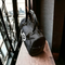 HEED NYC Classic Black & White Boston Bag